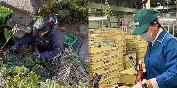 アルファスタッフの強み4